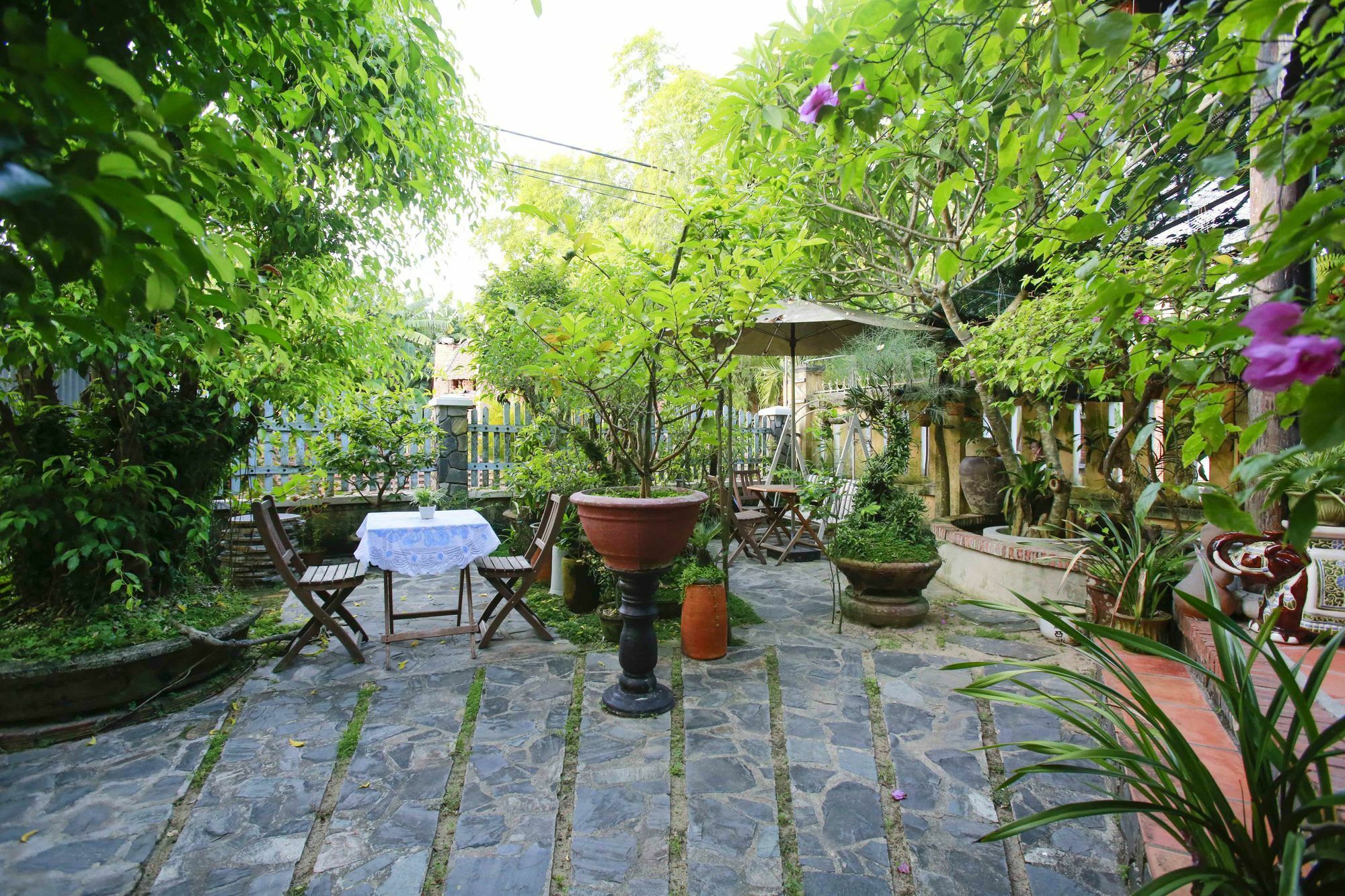 Terra Cotta Homestay Hoi An Bagian luar foto